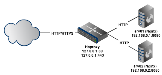 Network Layout